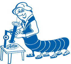 Commento tecnico alle analisi del composto